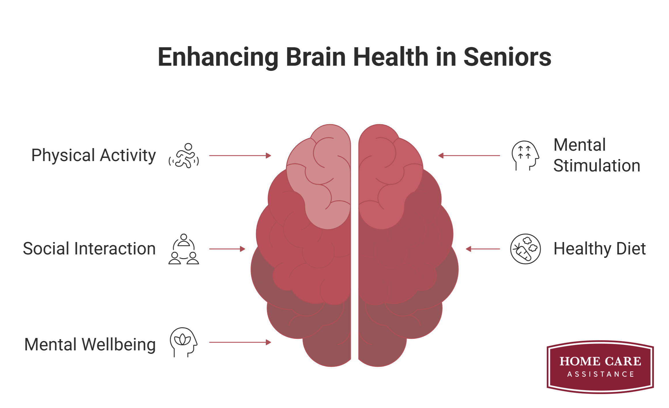 Effective Ways to Keep Older Adults’ Brains Active & Healthy