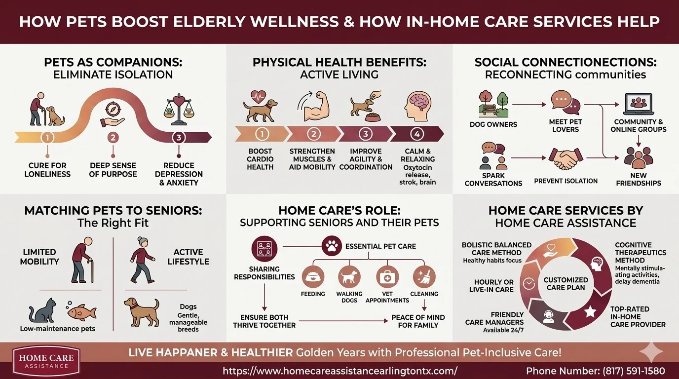 How Pets Boost Elderly Wellness & How In-Home Care Services Help
